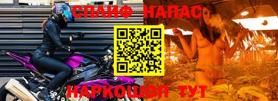 крисы Краснодар